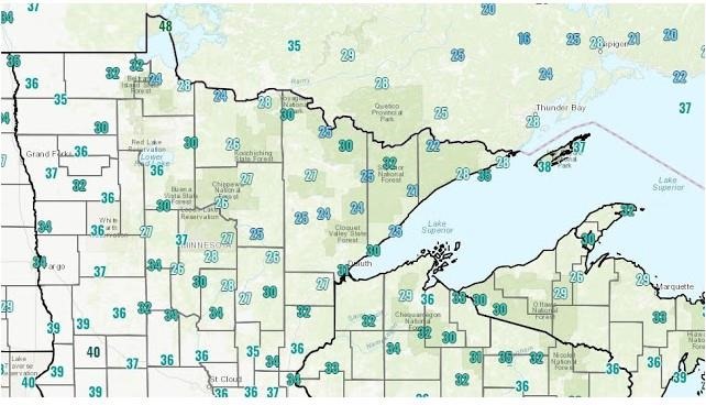 Spring Freeze Injury to Corn in the Northern Half of Minnesota: What to Expect